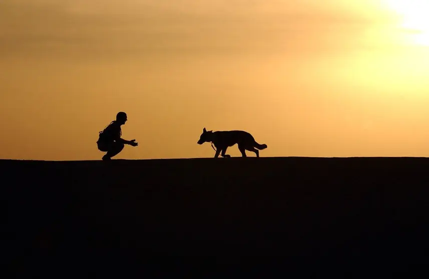 perro y dueño