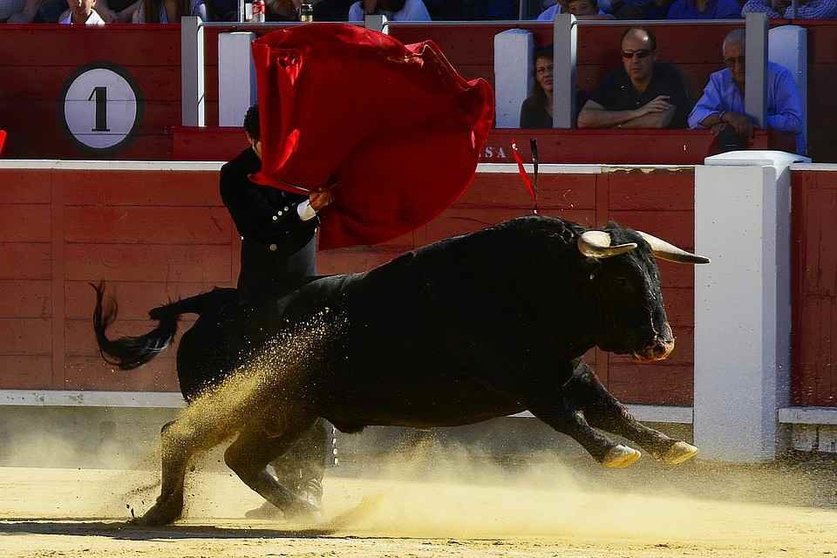 Los festejos taurinos estarán un año más en Talavera de la Reina