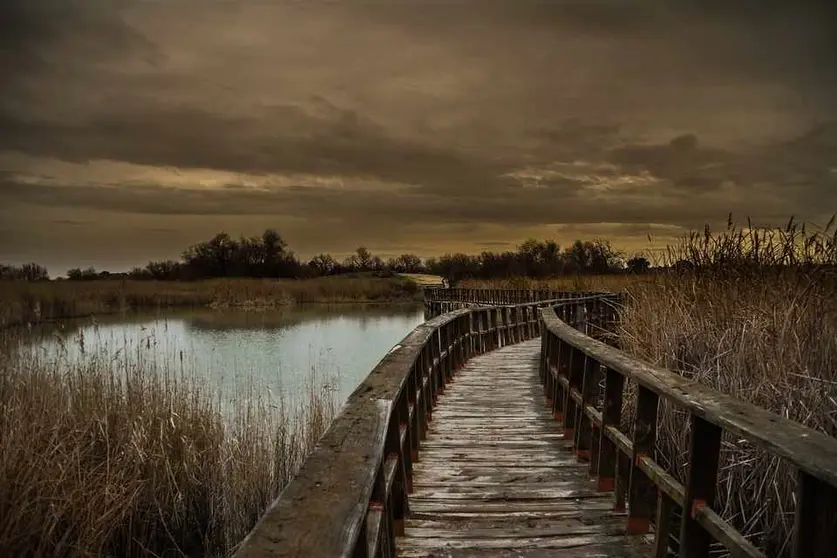 Tablas de Daimiel un bello paraje en Castilla-La Mancha