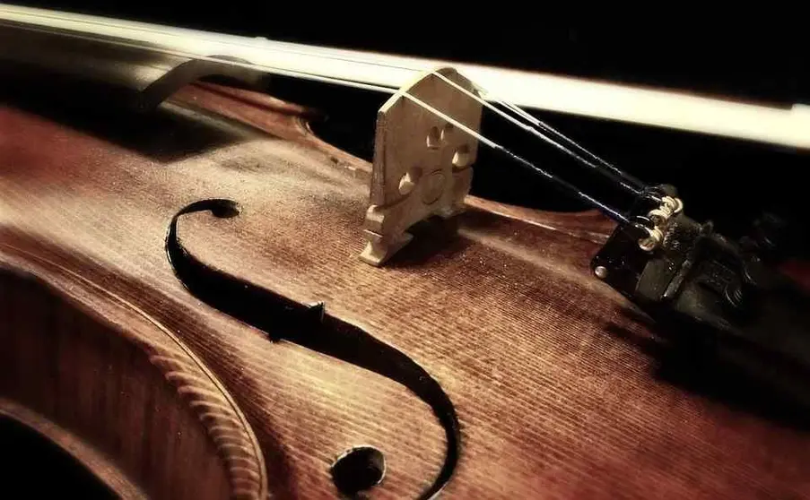 Violín