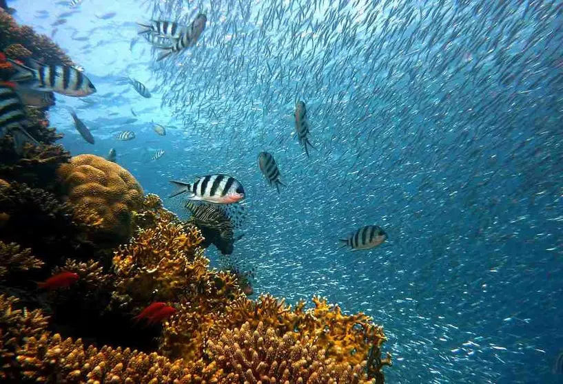 La Mar de Cuentos te esperan en Talavera de la Reina