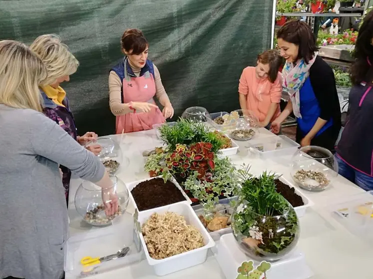 Crea tu propio jardín con Jardines en Lata