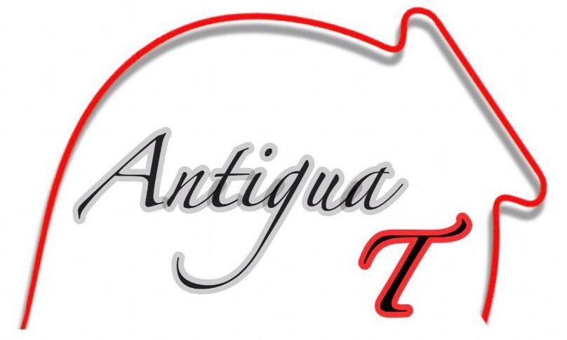 Logotipo Antigua T