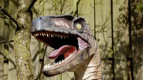 dinosaurio (Copiar)