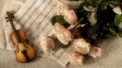 viol&iacute;n 1