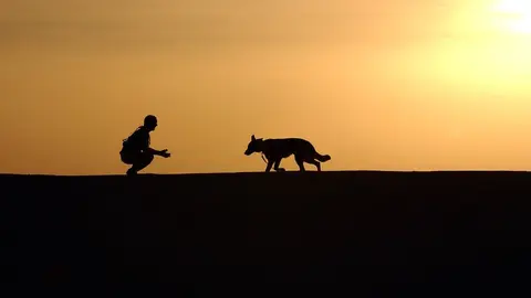 perro y due&ntilde;o
