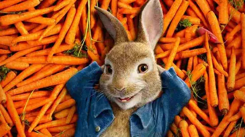 Peter Rabitt película