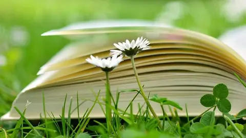 literatura