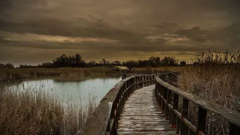 Tablas de Daimiel un bello paraje en Castilla-La Mancha