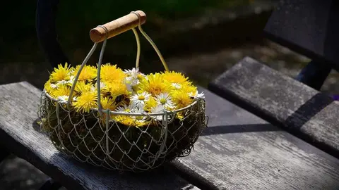 Cesta Flores 2