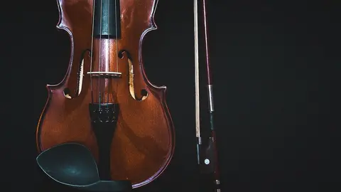 violin