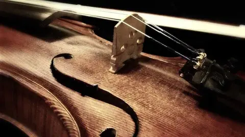 Violín