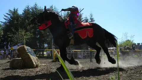 Combates en la Villa de Hita 