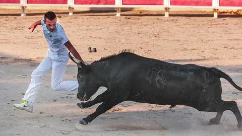 En Almodóvar del Campo tienes encierros y toreo de vaquillas