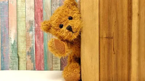Ladrones de peluches