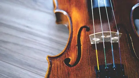 Violín