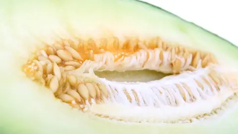 IV Feria del Melón en Membrilla 2018