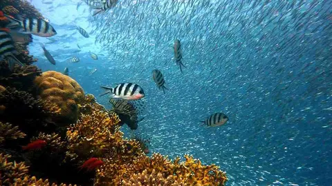 La Mar de Cuentos te esperan en Talavera de la Reina