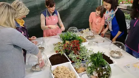 Crea tu propio jardín con Jardines en Lata