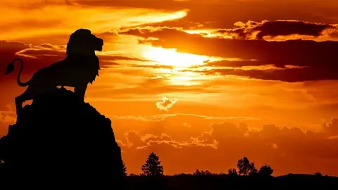El Legado del León, Tributo al Rey León en Miguelturra