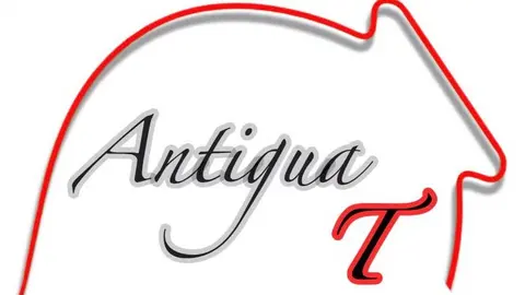 Logotipo Antigua T