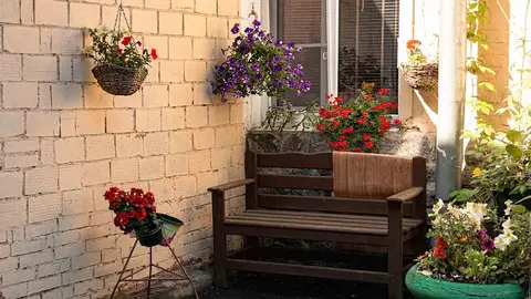  8 plantas perfectas para que tu terraza luzca incre&iacute;ble este verano. Foto Unsplash. 