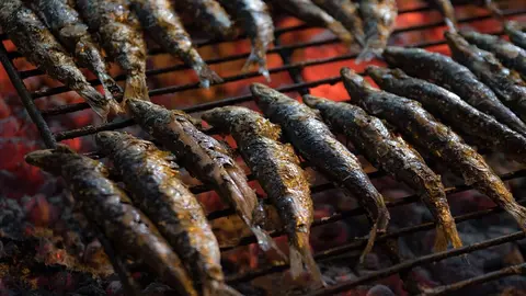  sardines-restaurant-food-fresh 