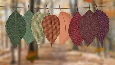  Rituales equinoccio oto&ntilde;o 2020 &iexcl;10 formas de celebrarlo por todo lo alto! Foto: Pexels 