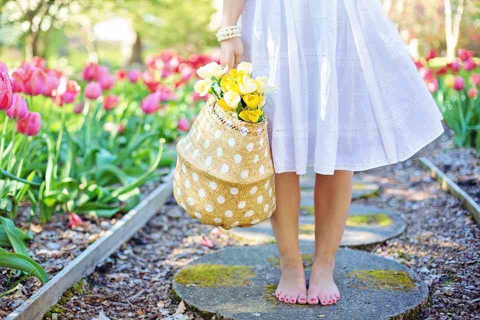 La Primavera y las alergias