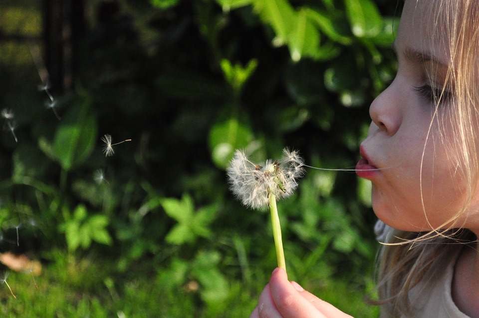 La alergia y la primavera