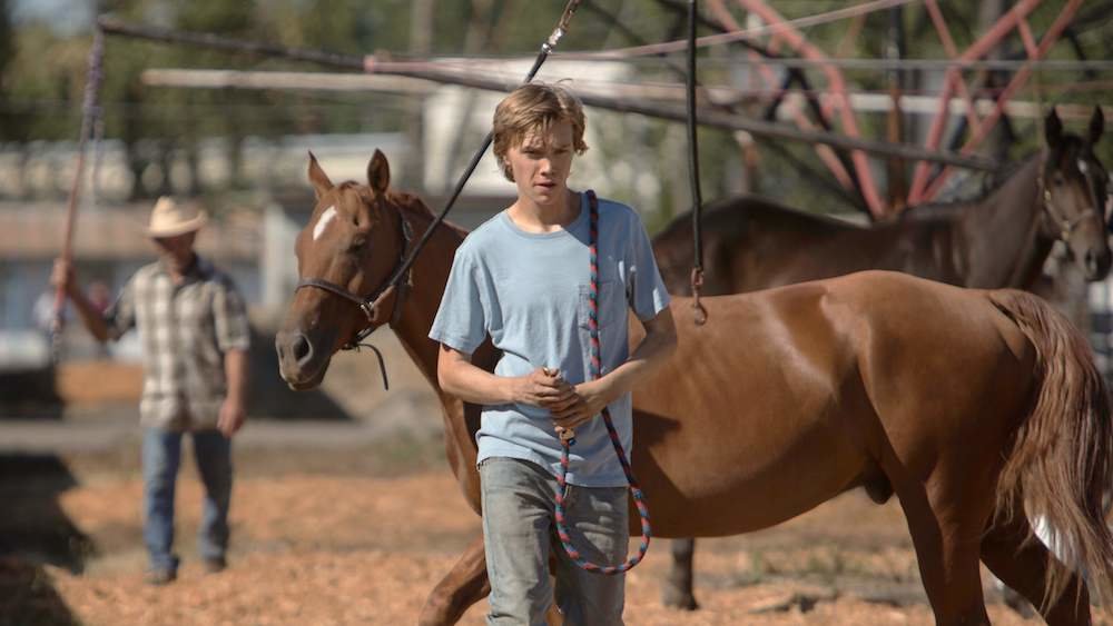 Lean on Pete se estrena este viernes