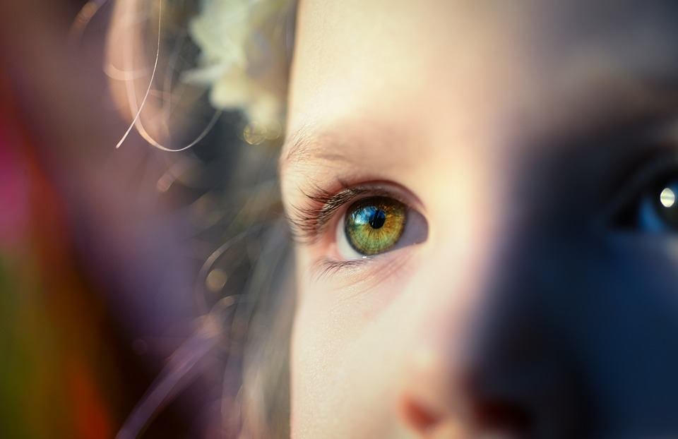 Festival Internacional de la Magia, un espectáculo para toda la familia