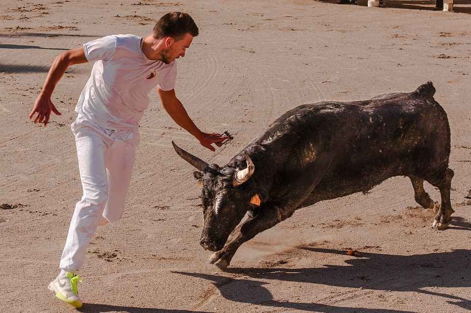 Suelta de vaquillas en las Fiestas de San Mateo Cuenca 2019