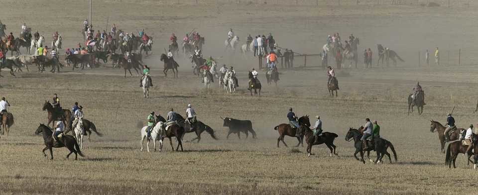 Plan de ocio para este verano, encierros en La Mancha