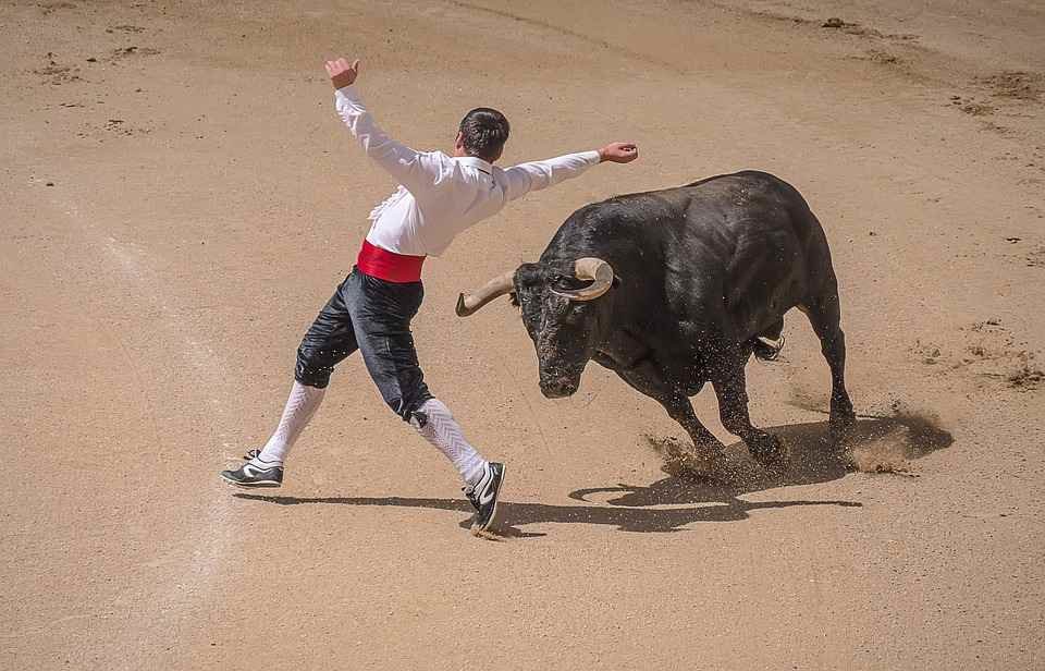Respeto al animal, y si te caes no te levantes, quédate inmóvil en suelo manchego