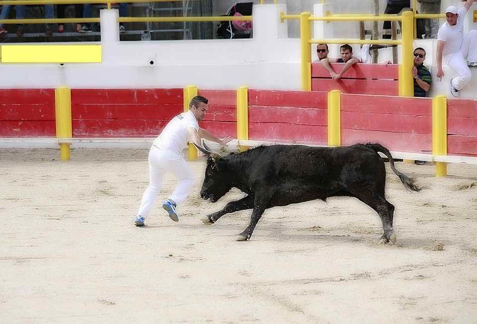 Responsabilidad para participar en los encierros este verano en Castilla-La Mancha