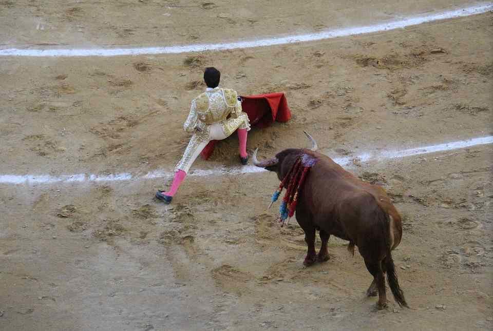 Festejos taurinos en Castilla-La Mancha este verano 2018