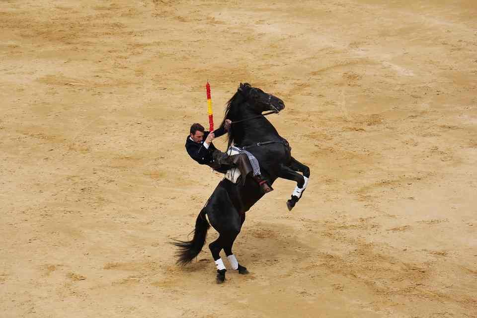 Festejos taurinos donde los espectáculos de rejoneadores no faltan en La Mancha