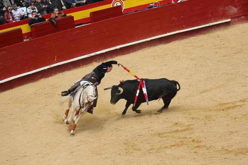 Ferias San Mateo 2018 en Talavera de la Reina: Los Festejos de Rejones te esperan