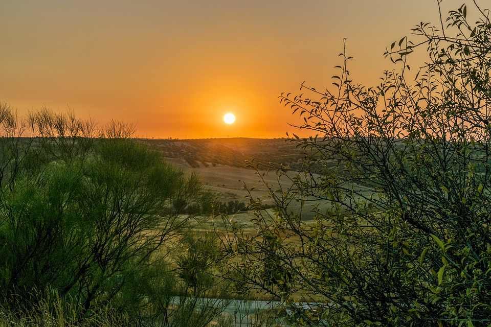 El verano se prepara para la Feria y Fiestas de Agosto en Toledo