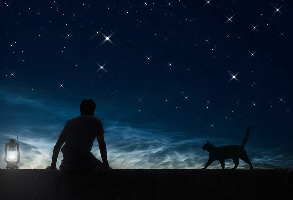 Cielo, noche y lluvia de estrellas, plan para este fin de semana en Castilla-La Mancha