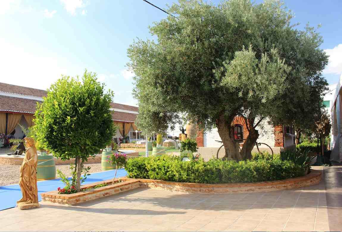 Bodega Museo Eventos en Valdepeñas, una boda diferente