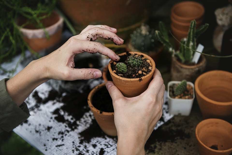 Diseña tu propio jardín