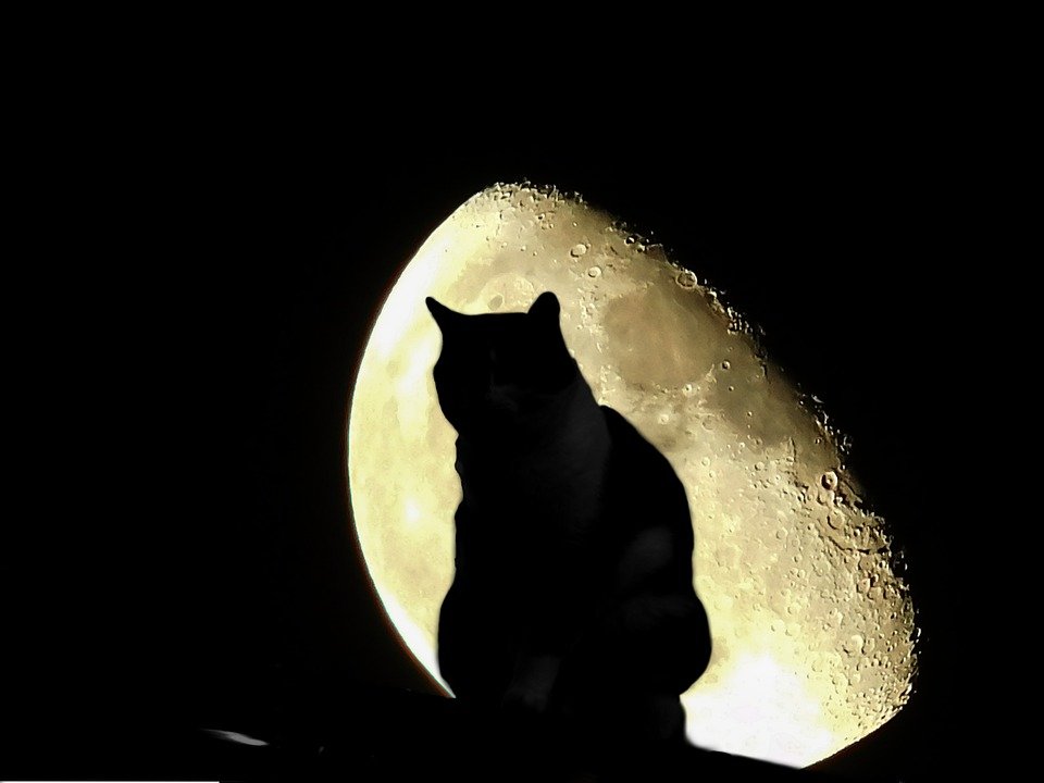 Halloween 2018: Planes para todos en Castilla-La Mancha