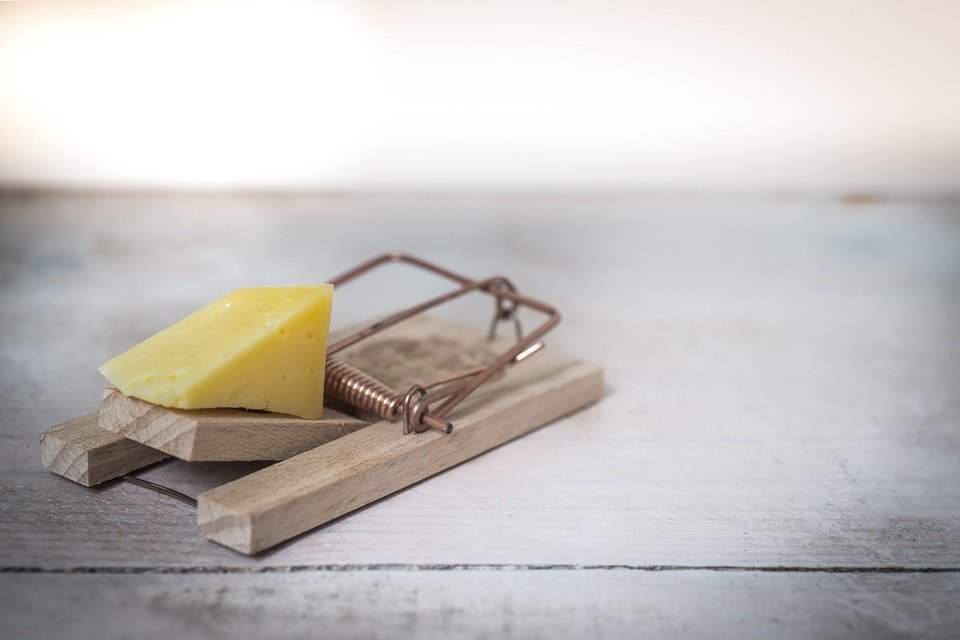 I Feria del Queso La Solana del 26 al 28 de octubre 2018