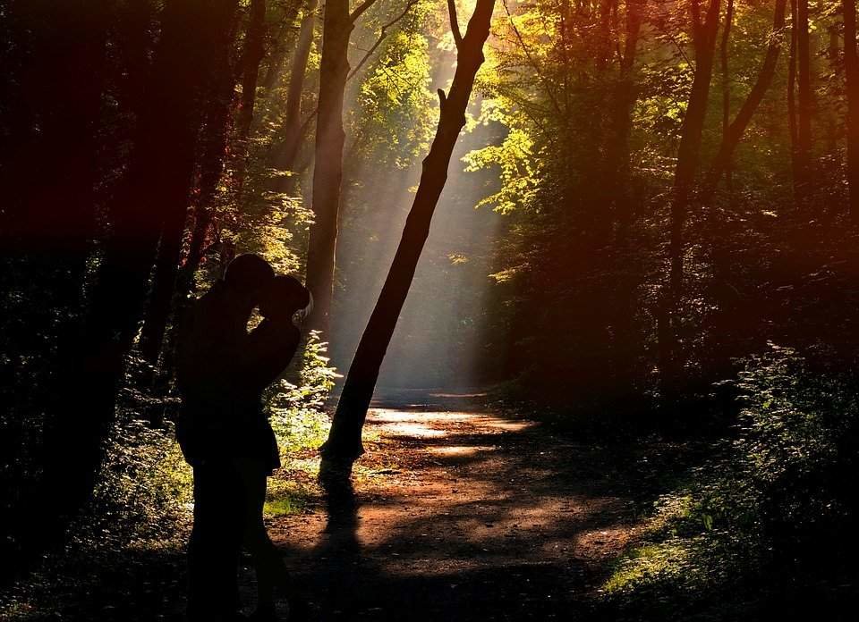 San Valentín en el bosque