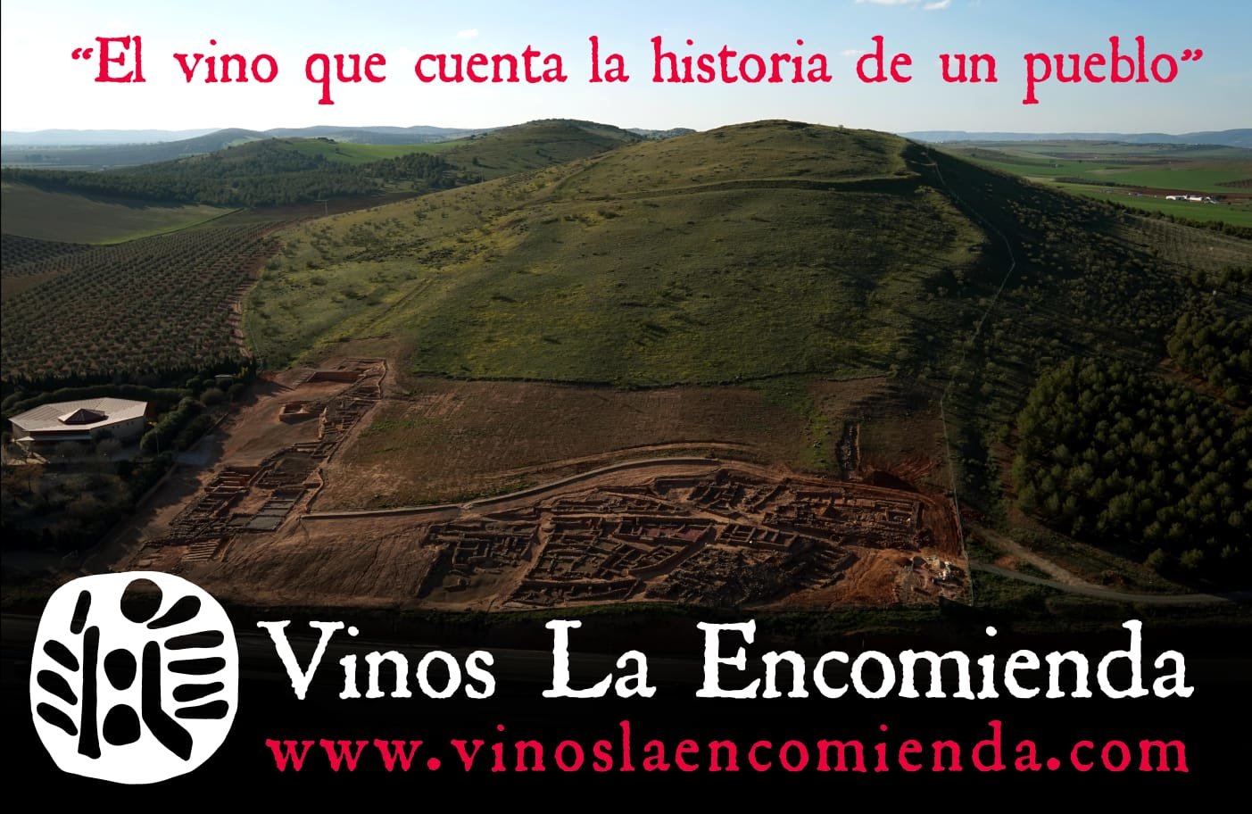 Vinos La Encomienda 3
